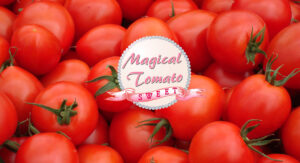 まほうのトマト・ロゴ